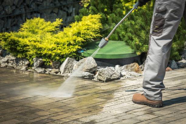 Professional Pressure Washing Services in Blackshear, GA